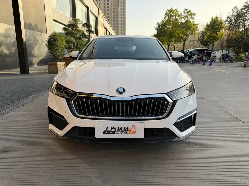 Skoda Octavia 2022 из CN, фото 2