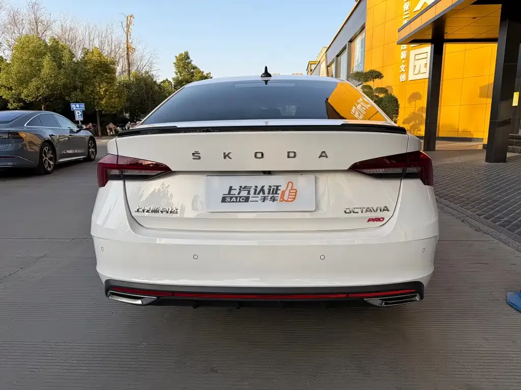 Skoda Octavia 2022 из CN, фото 9