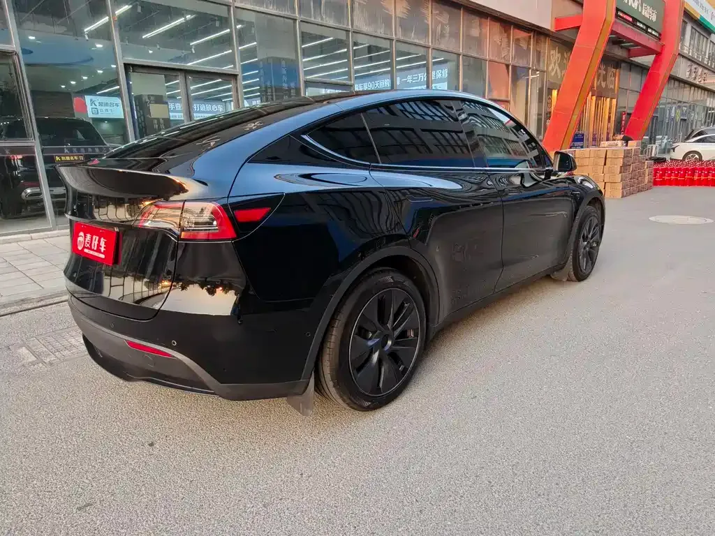 Tesla Model Y 2024 из CN, фото 6