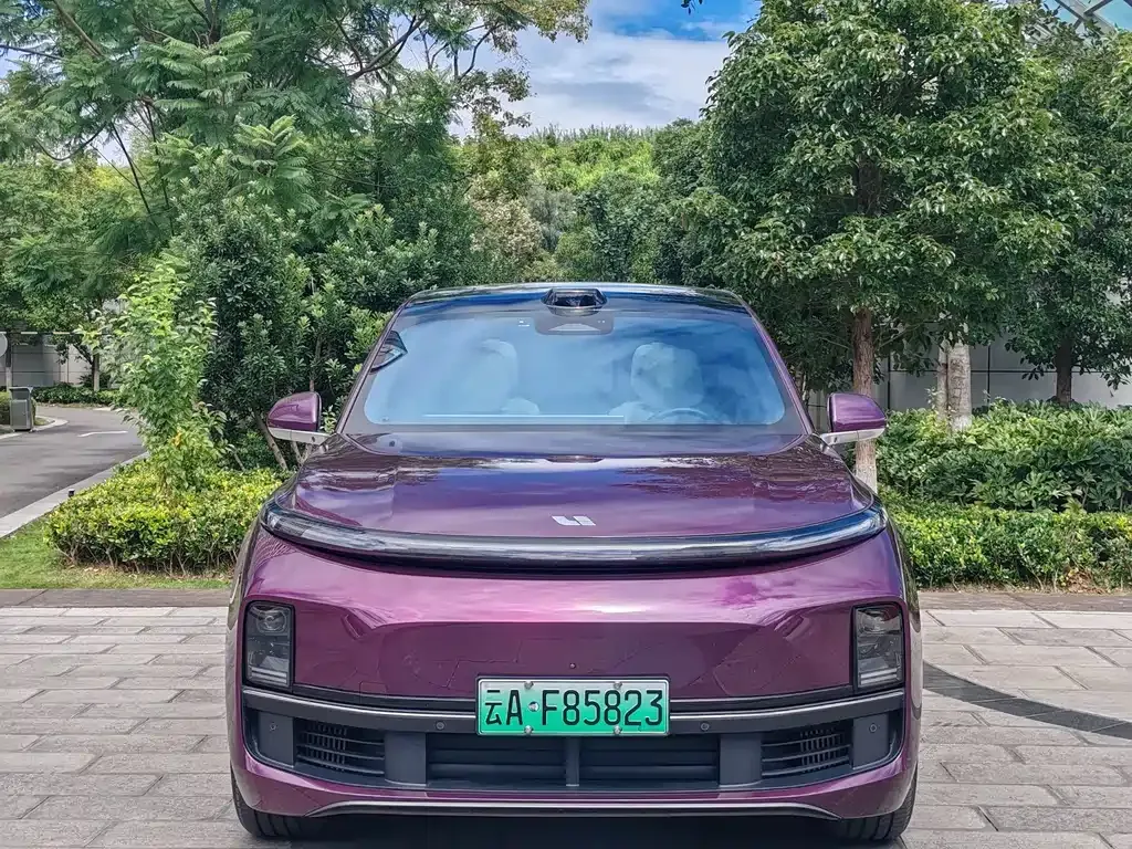 Li Auto L8 2023 из CN, фото 2