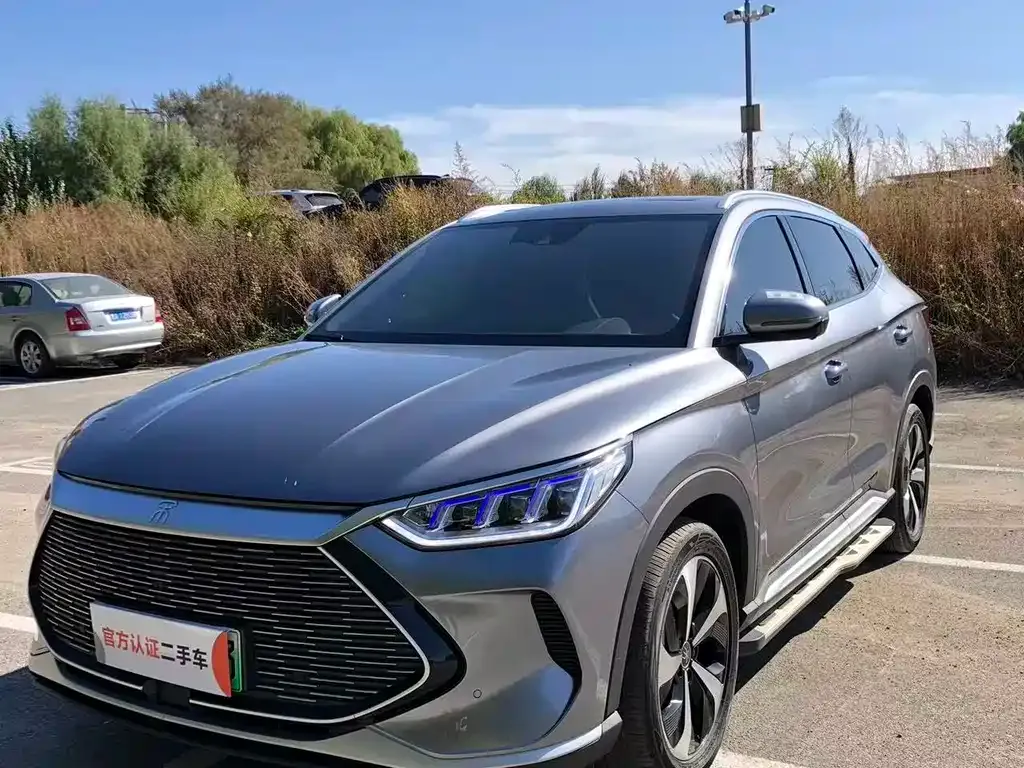 BYD PLUS New Energy 2022 из CN, фото 1