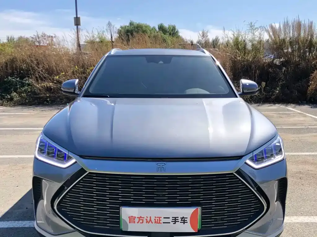 BYD PLUS New Energy 2022 из CN, фото 2