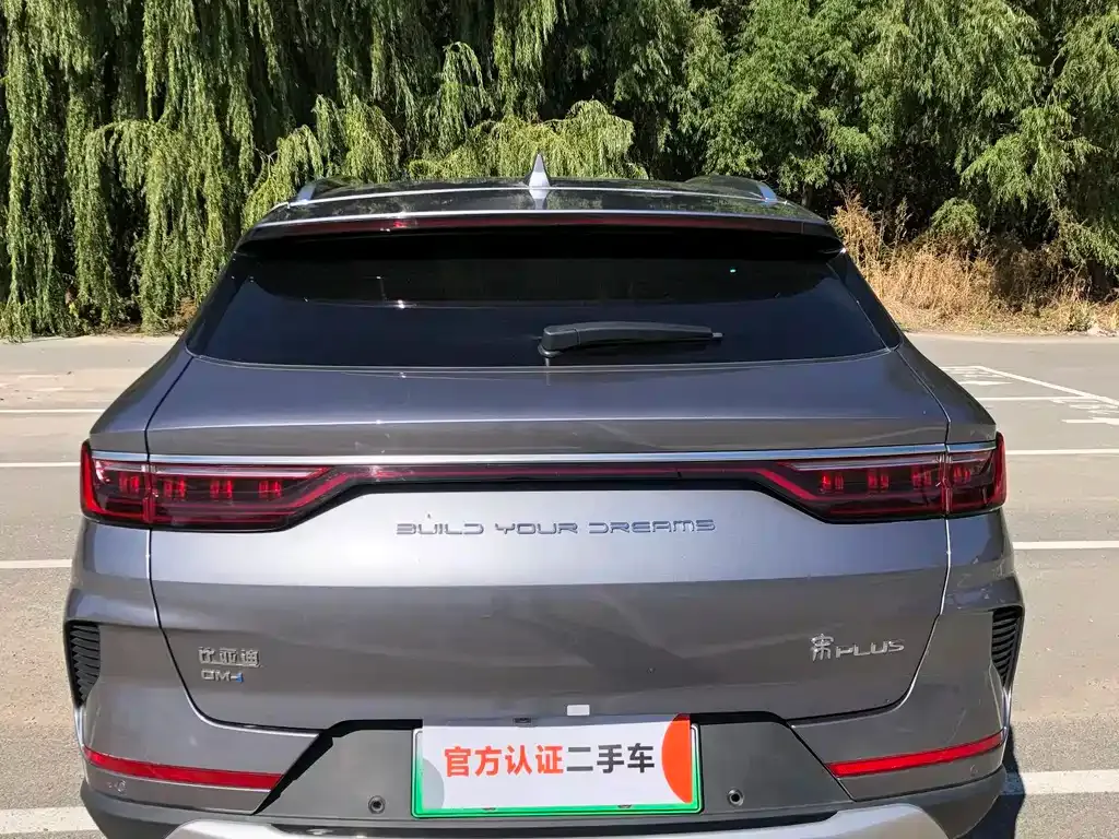 BYD PLUS New Energy 2022 из CN, фото 5