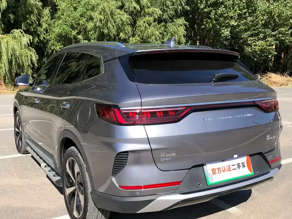 BYD PLUS New Energy 2022 из CN, фото 6