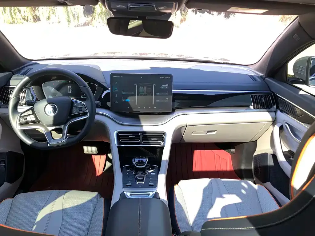 BYD PLUS New Energy 2022 из CN, фото 8