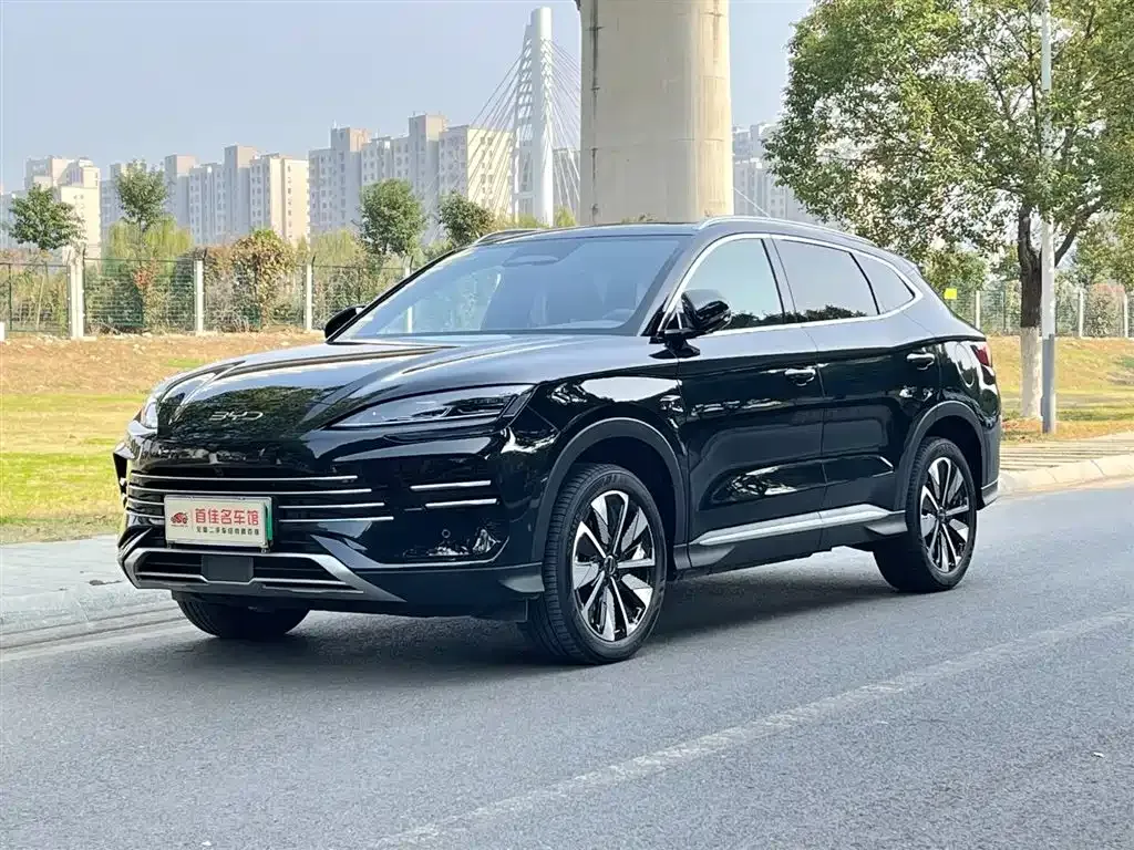 BYD PLUS New Energy — фото 1