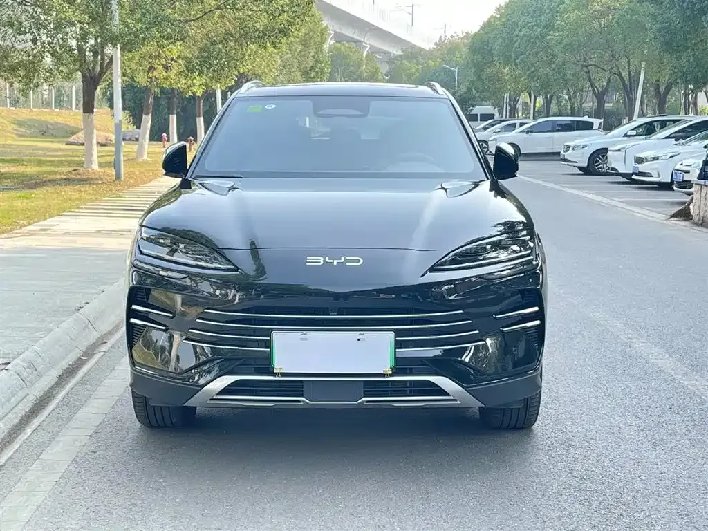 BYD PLUS New Energy — фото 3