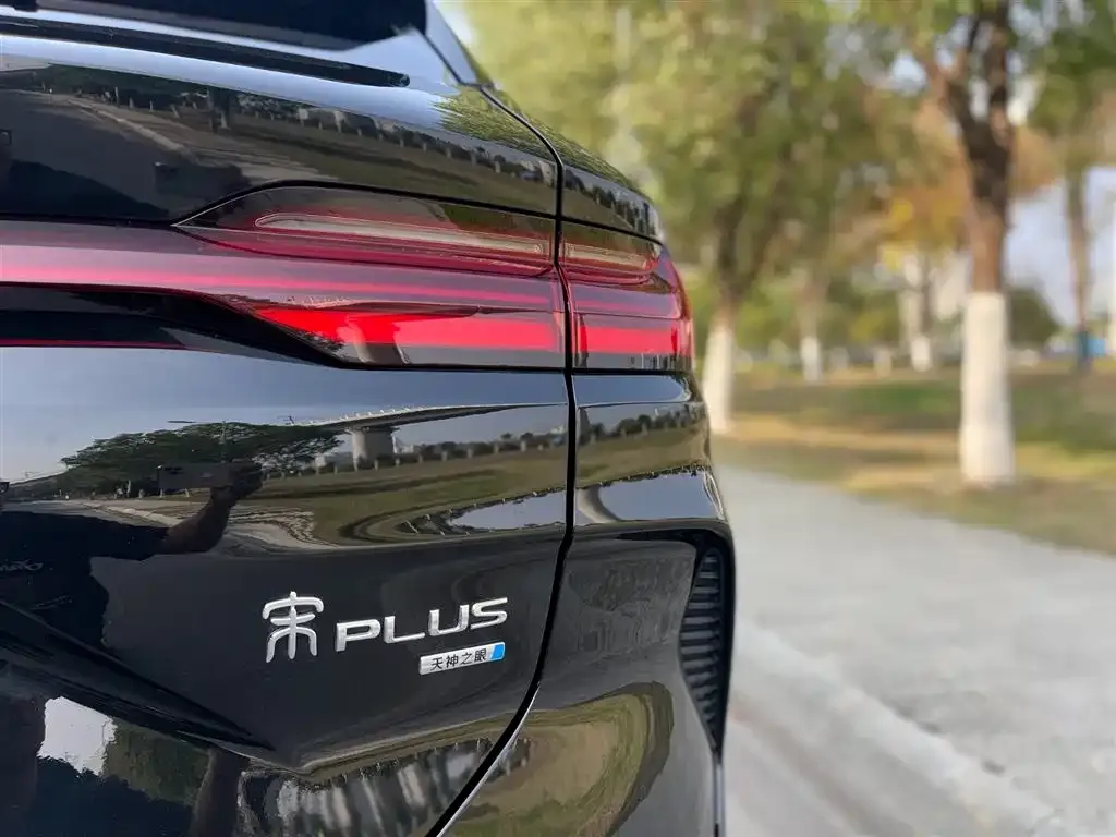 BYD PLUS New Energy — фото 8