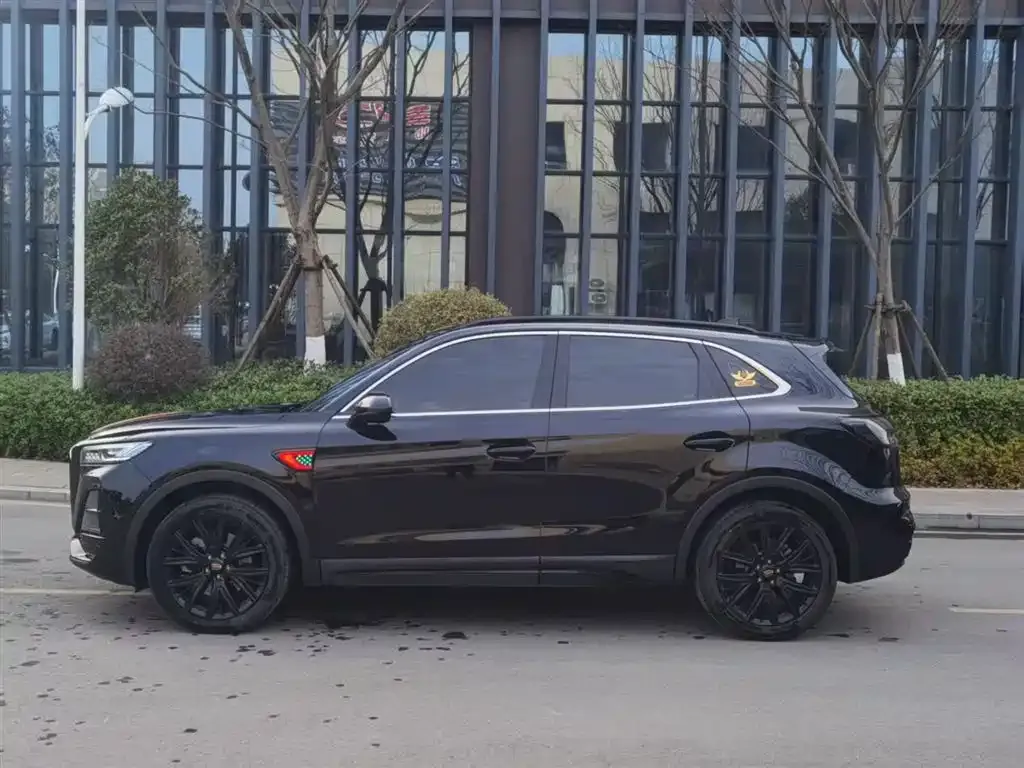 Hongqi HS5 2024 из CN, фото 3