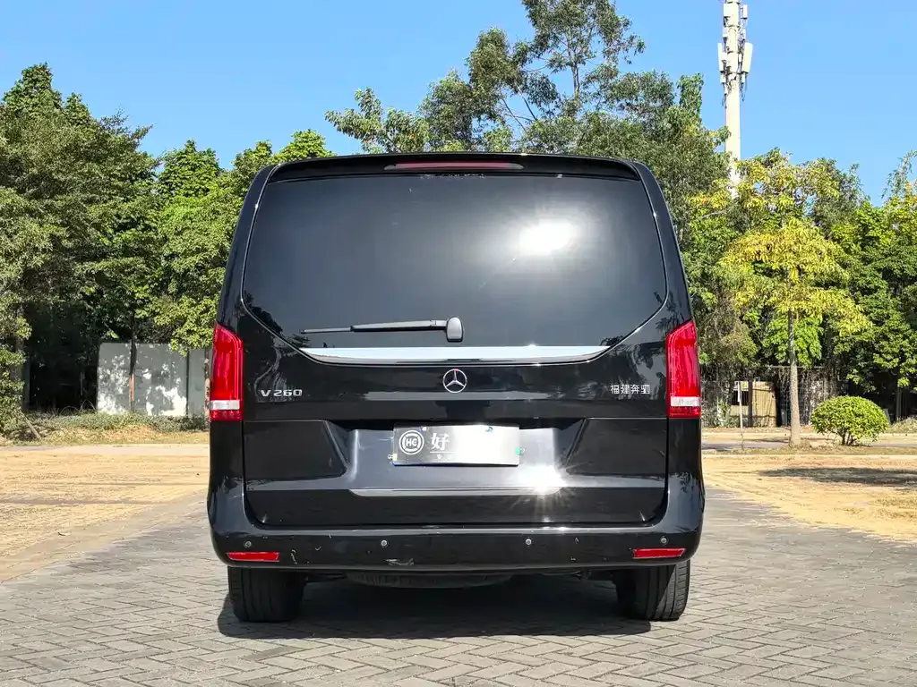 Mercedes-Benz V-Class 2021 из CN, фото 6