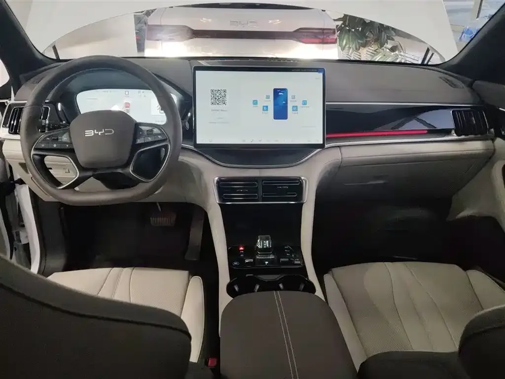 BYD PLUS New Energy 2025 из CN, фото 10