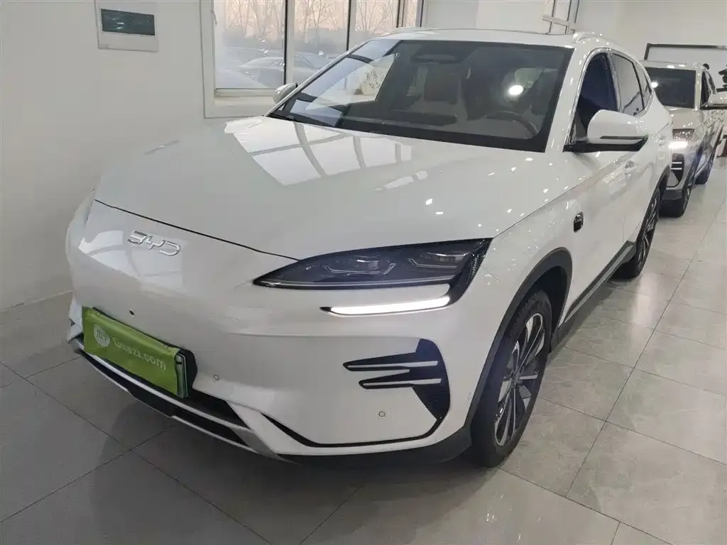BYD PLUS New Energy 2025 из CN, фото 2