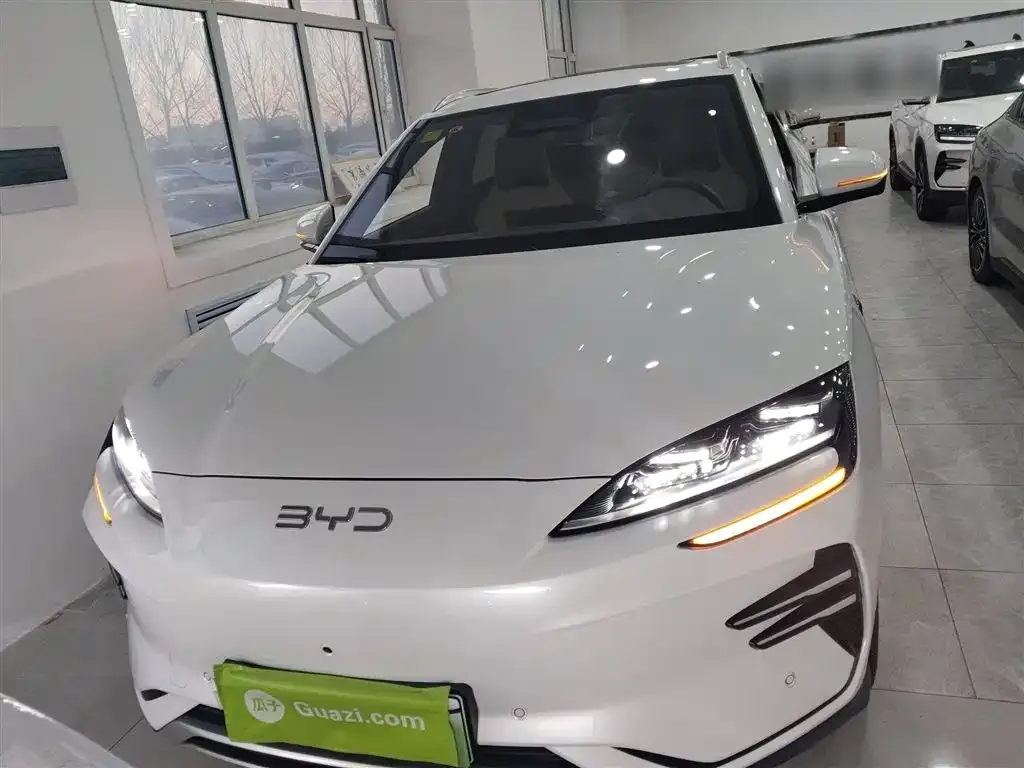 BYD PLUS New Energy 2025 из CN, фото 3