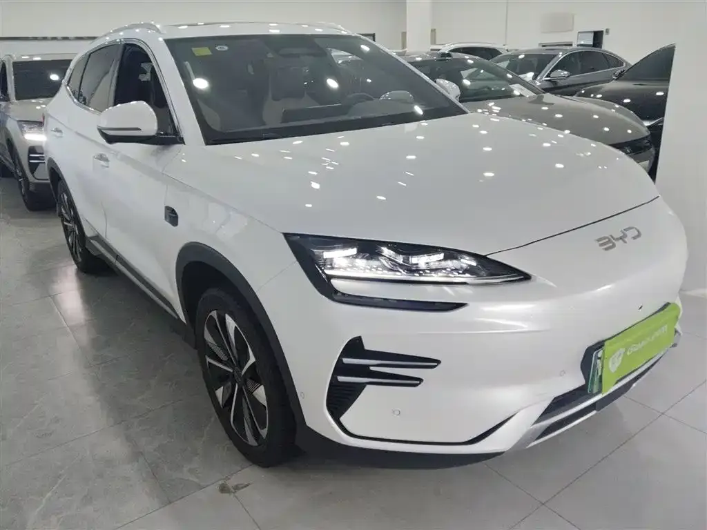 BYD PLUS New Energy 2025 из CN, фото 4