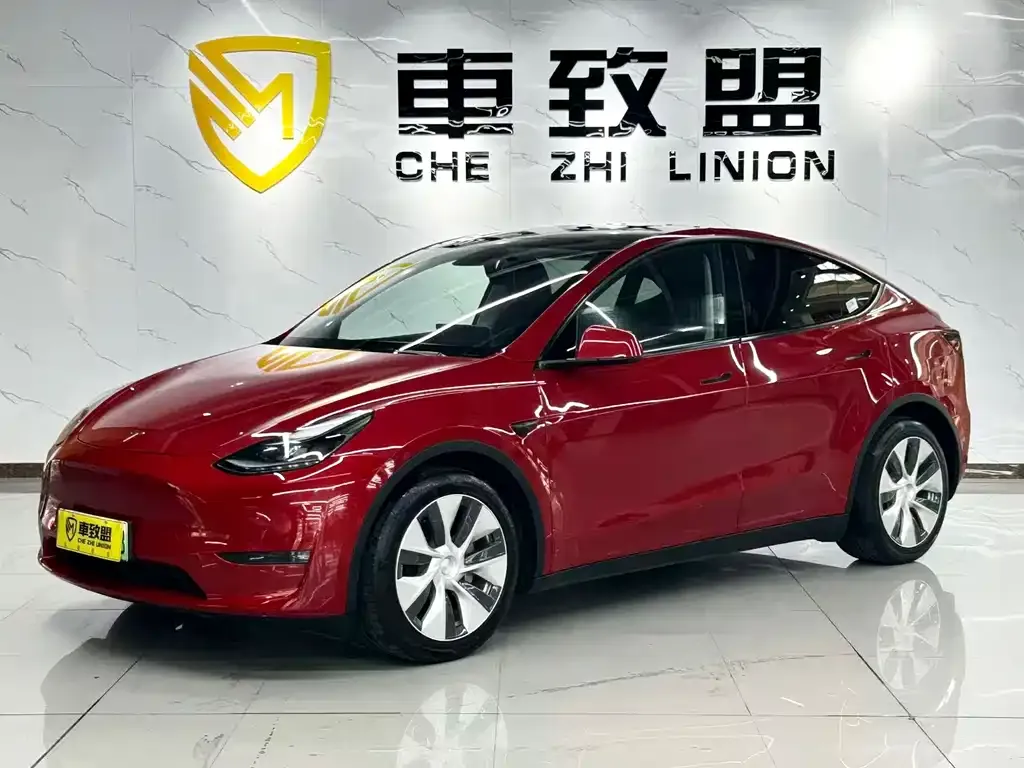 Tesla Model Y 2021 из CN, фото 1