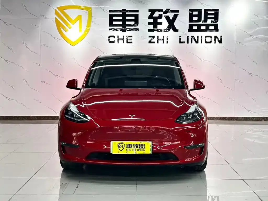 Tesla Model Y 2021 из CN, фото 2