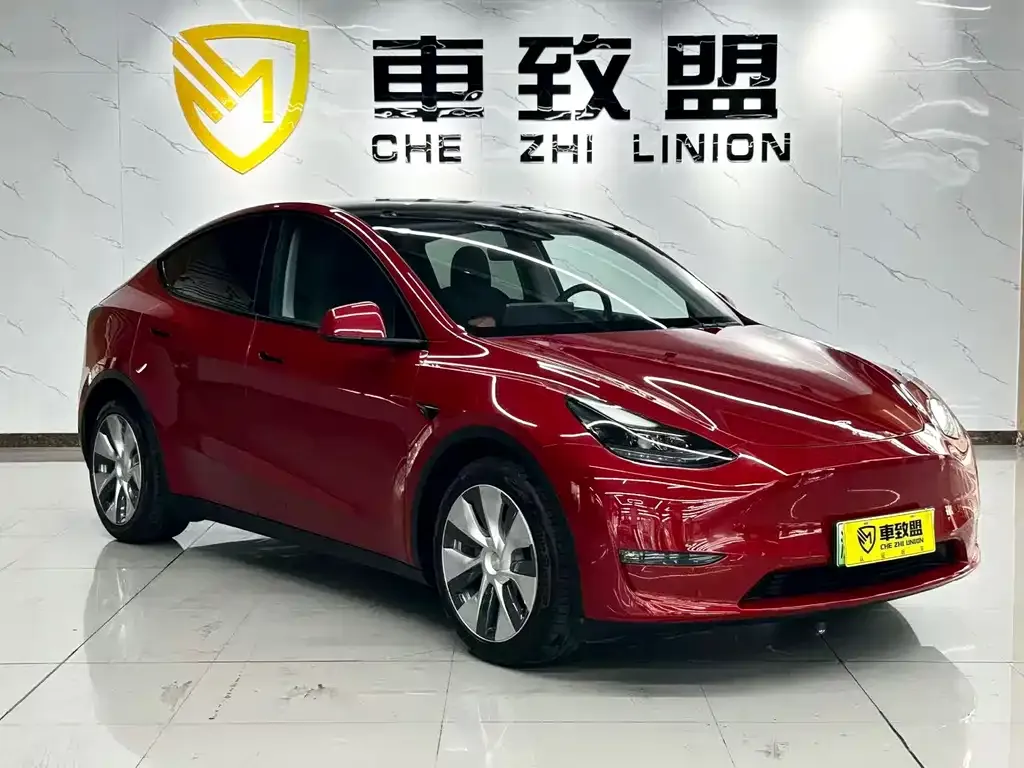 Tesla Model Y 2021 из CN, фото 3