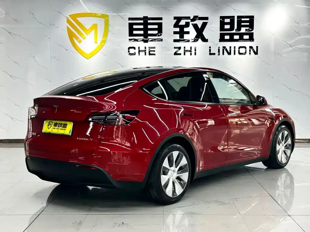 Tesla Model Y 2021 из CN, фото 4