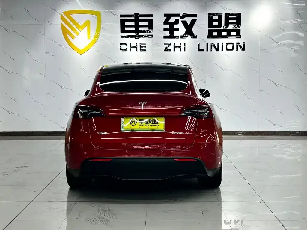 Tesla Model Y 2021 из CN, фото 5