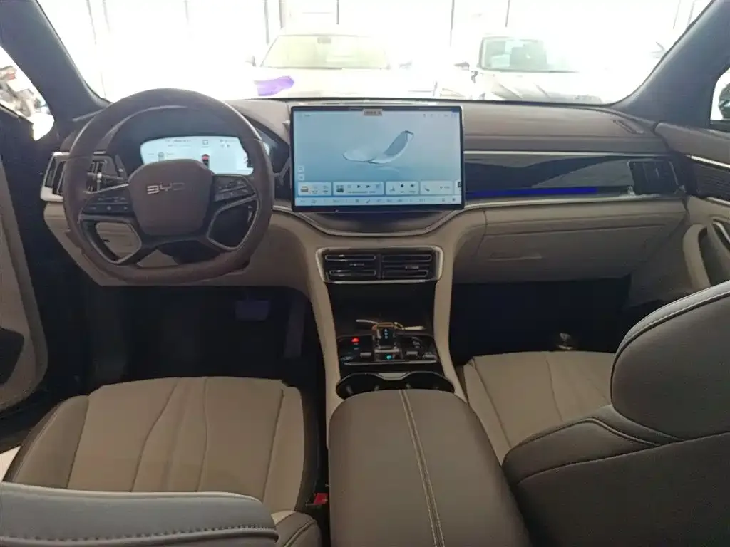 BYD PLUS New Energy 2025 из CN, фото 10