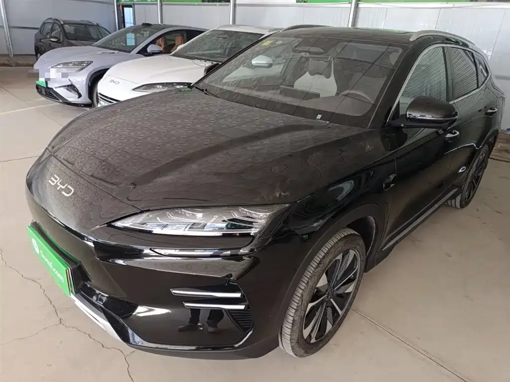 BYD PLUS New Energy 2025 из CN, фото 2