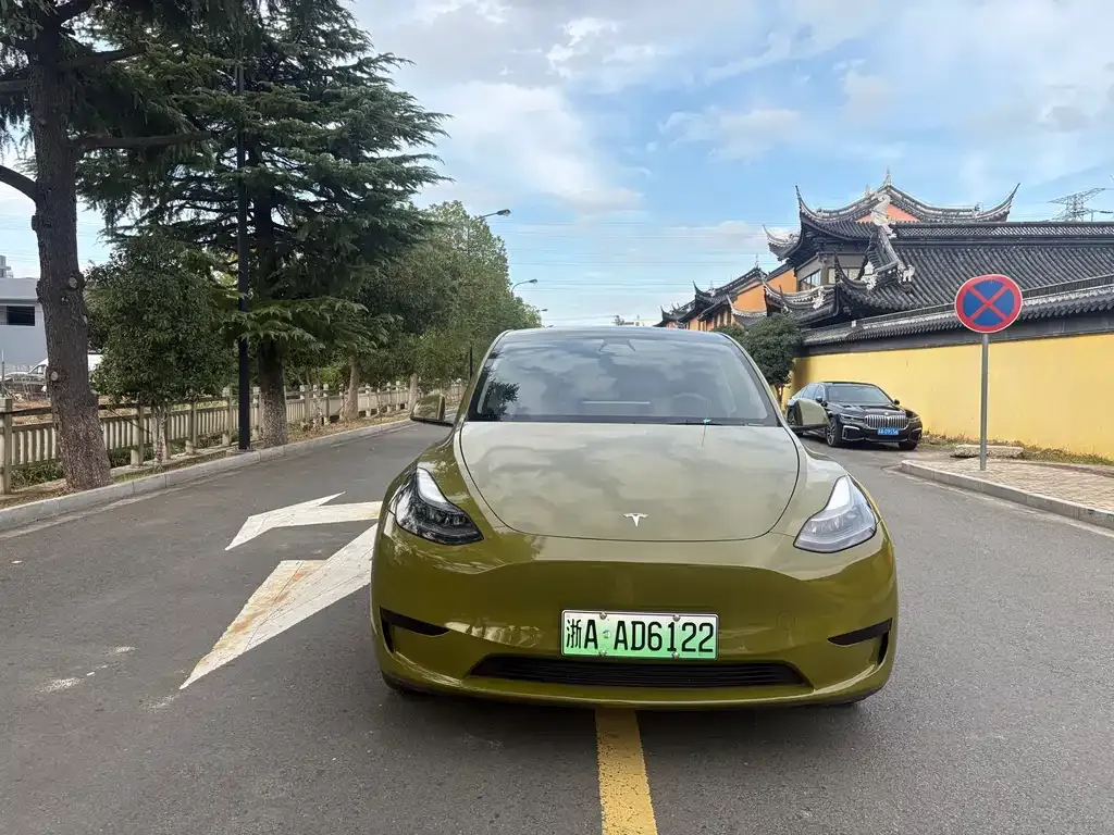 Tesla Model Y 2023 из CN, фото 2