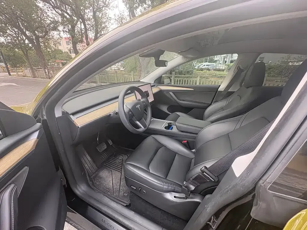 Tesla Model Y 2023 из CN, фото 9