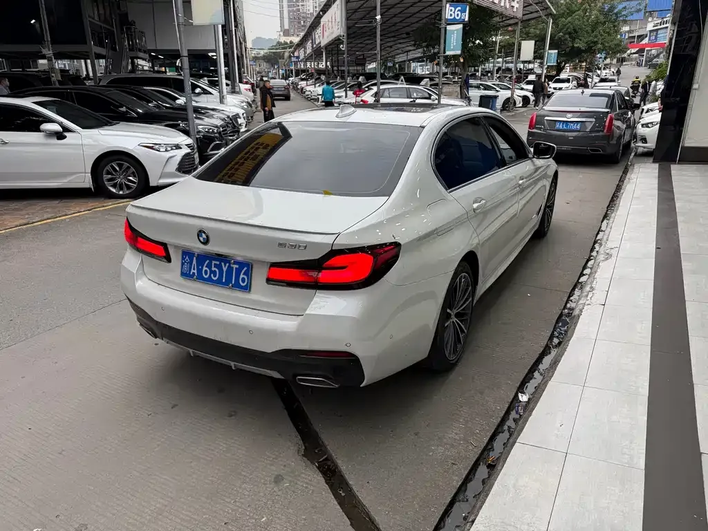 BMW 5 Series 2022 из CN, фото 10