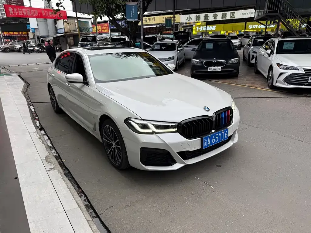 BMW 5 Series 2022 из CN, фото 2
