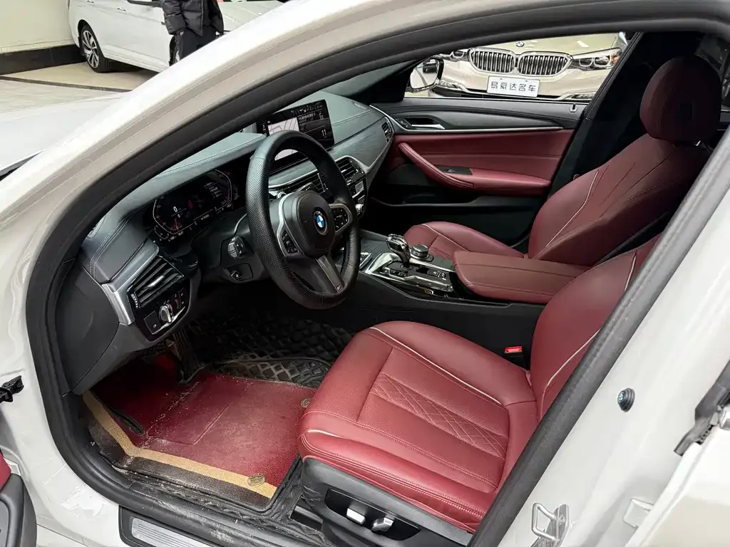 BMW 5 Series 2022 из CN, фото 4