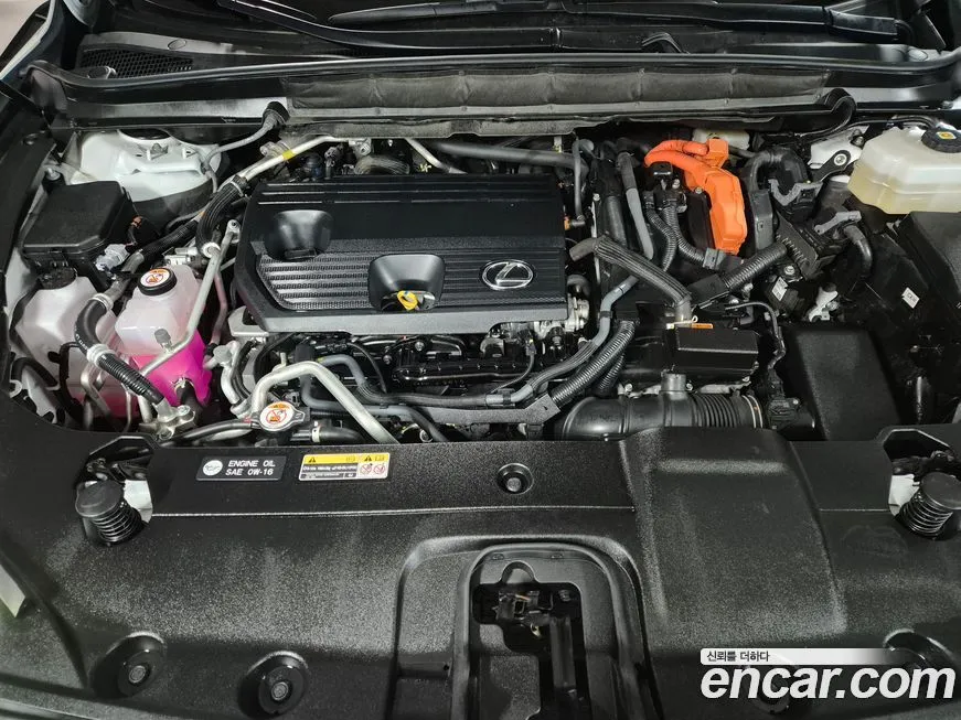 Lexus RX 2024 из KR, фото 6