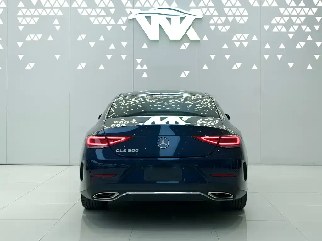 Mercedes-Benz CLS 2021 из CN, фото 5
