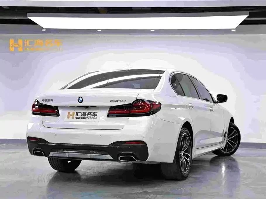 BMW 5 Series 2023 из CN, фото 4
