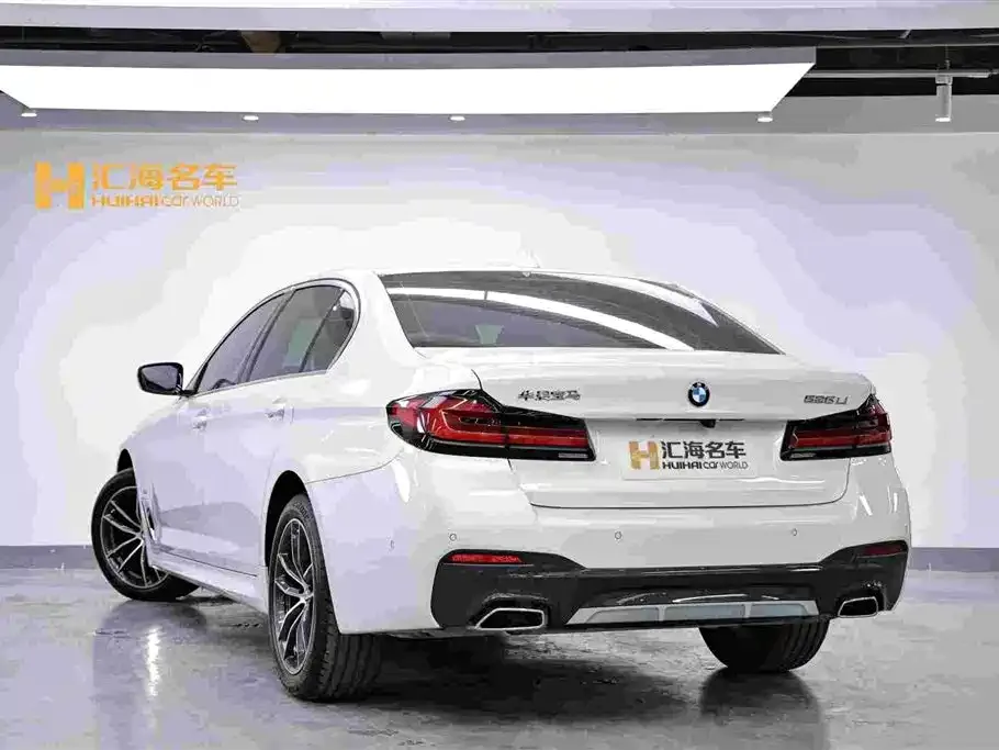 BMW 5 Series 2023 из CN, фото 6