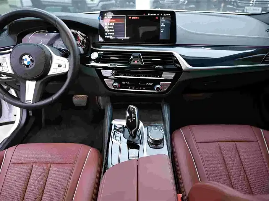 BMW 5 Series 2023 из CN, фото 8