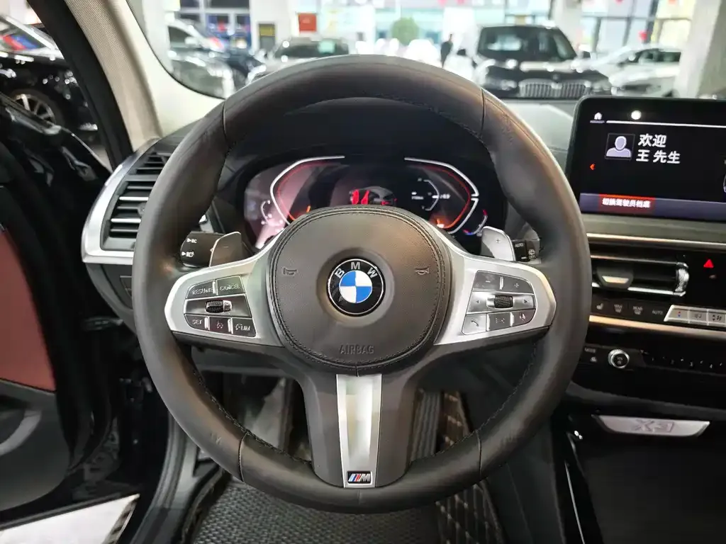 BMW X3 2023 из CN, фото 8