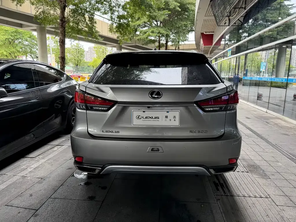 Lexus RX 2021 из CN, фото 3