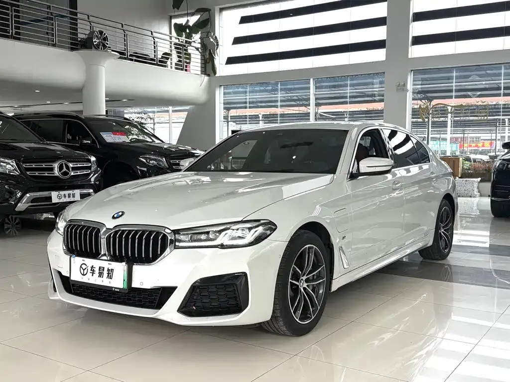 BMW 5 Series New Energy 2021 из CN, фото 1