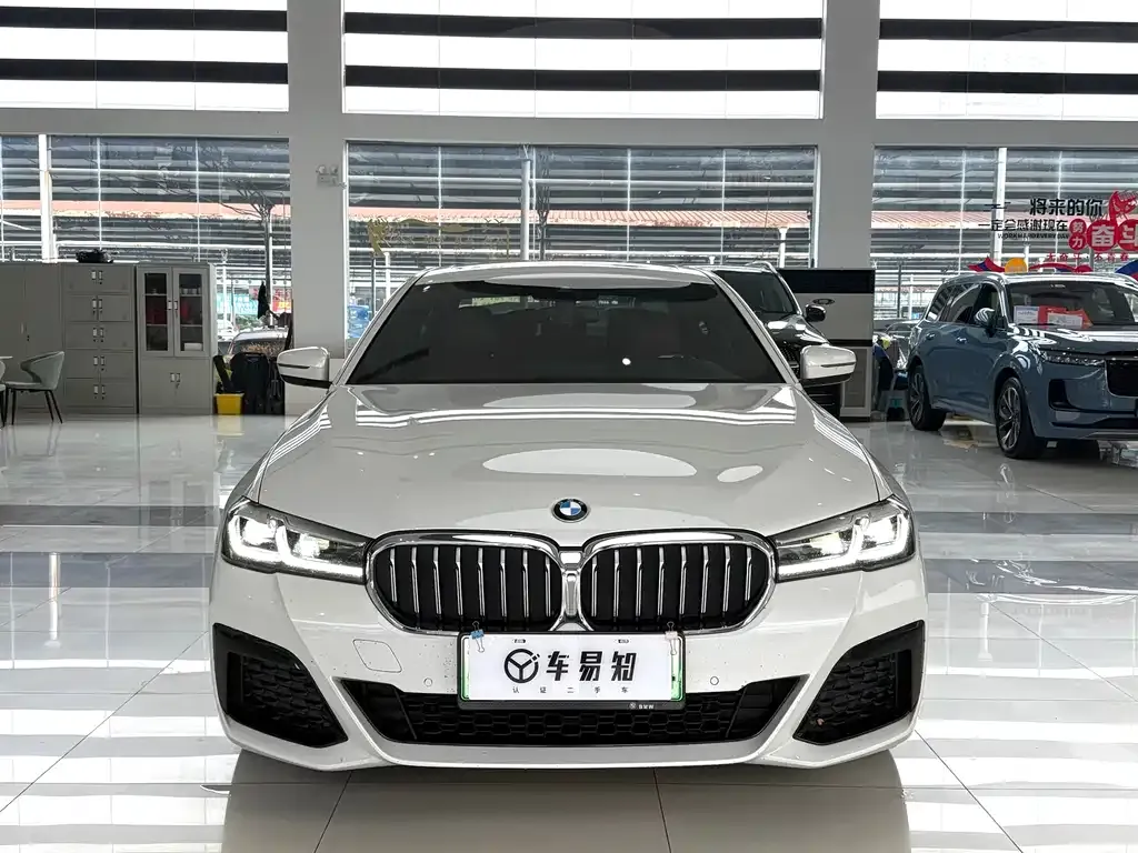 BMW 5 Series New Energy 2021 из CN, фото 2