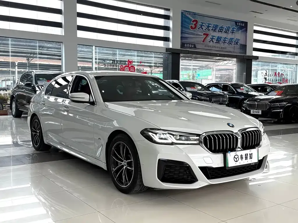 BMW 5 Series New Energy 2021 из CN, фото 3