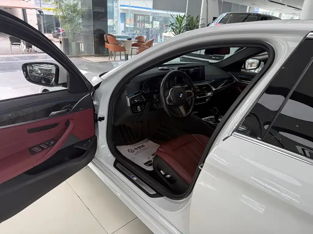 BMW 5 Series New Energy 2021 из CN, фото 4
