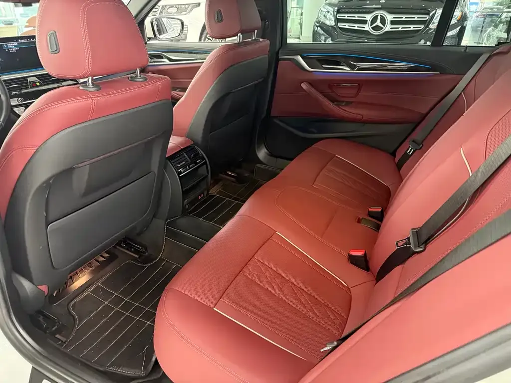 BMW 5 Series New Energy 2021 из CN, фото 9