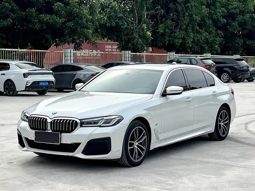 BMW 5 Series 2021 из CN, фото 1