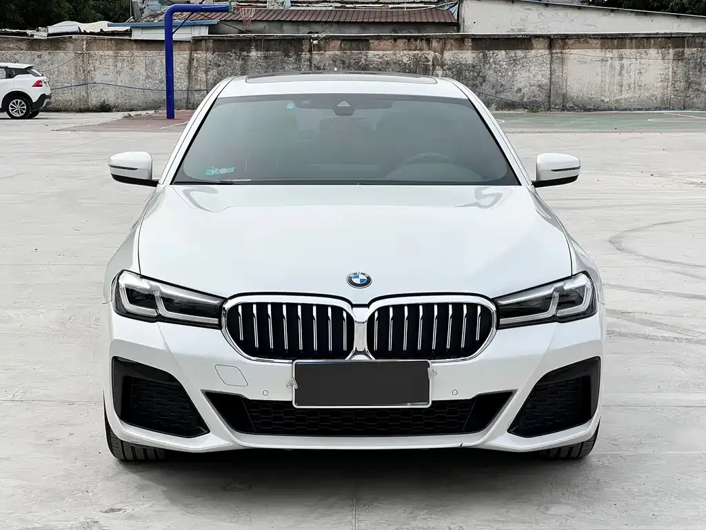 BMW 5 Series 2021 из CN, фото 2