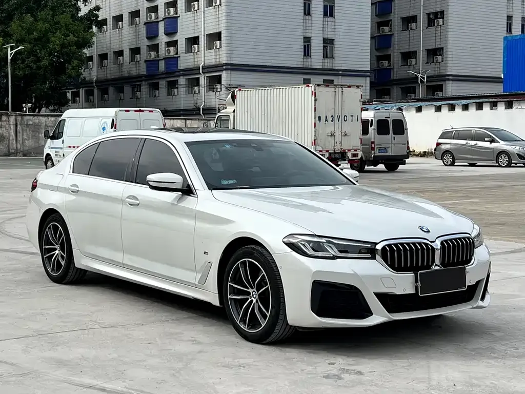 BMW 5 Series 2021 из CN, фото 3