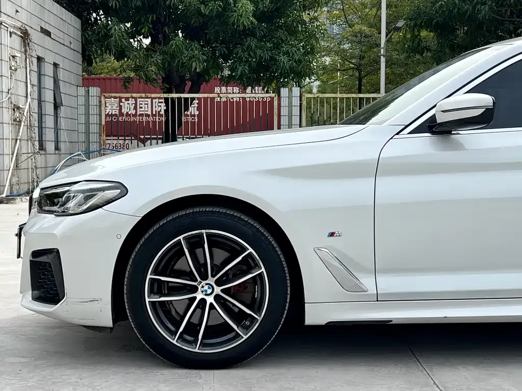 BMW 5 Series 2021 из CN, фото 4