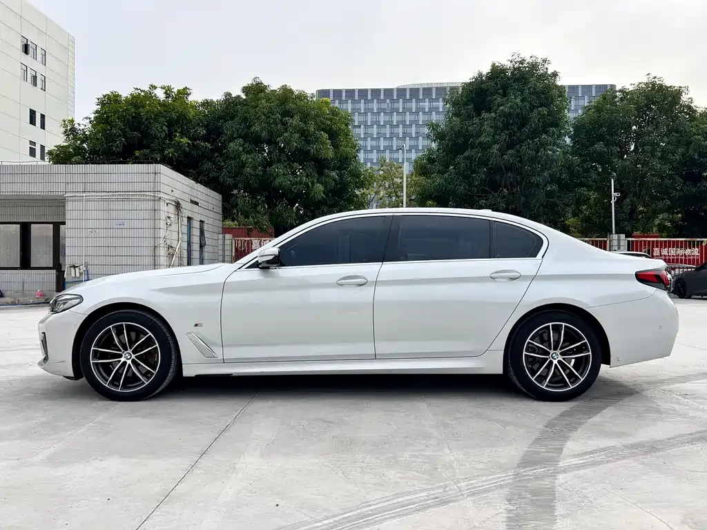 BMW 5 Series 2021 из CN, фото 5