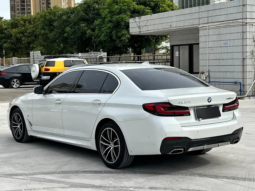 BMW 5 Series 2021 из CN, фото 6
