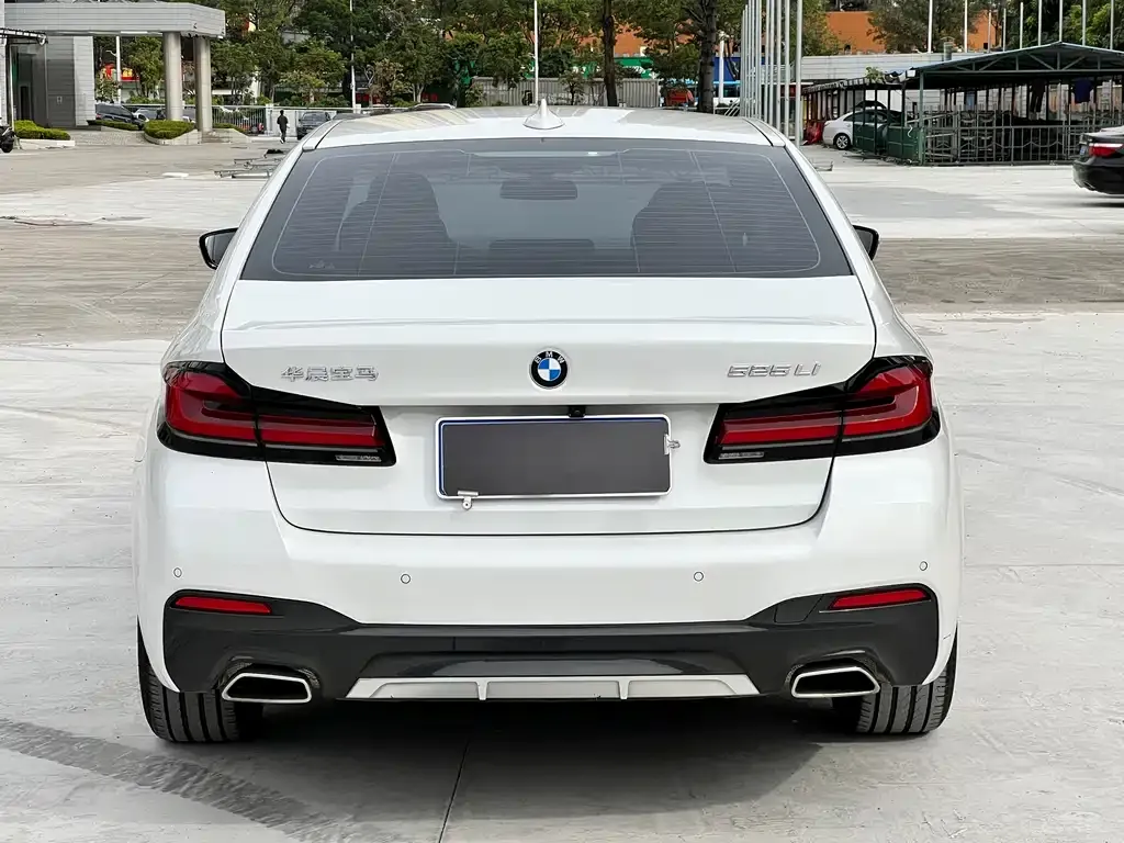 BMW 5 Series 2021 из CN, фото 7