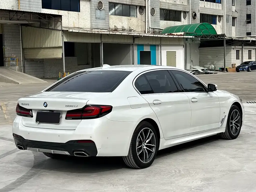 BMW 5 Series 2021 из CN, фото 8